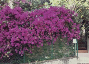Casa indipendente nel verde